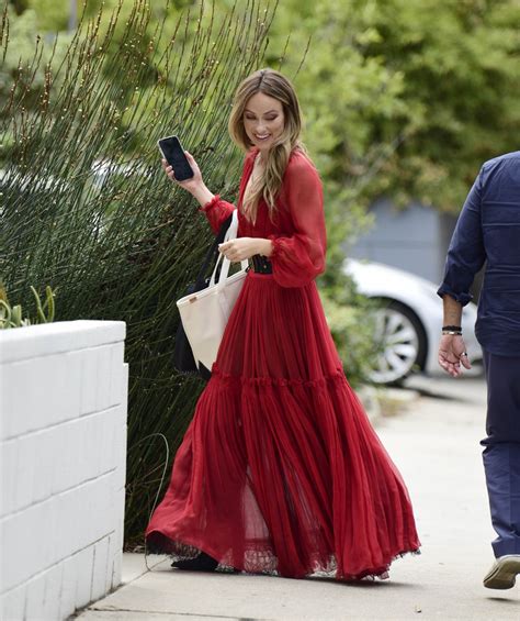 olivia wilde in sheer dior dress|olivia wilde 2022.